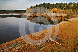 Lake in autumn landscape, on the bank of the wooden root