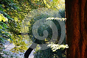 lake autumn reflection water