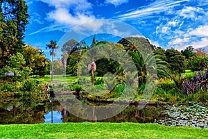 Lake in Autumn in Royal Botanic Gardens, Melbourne