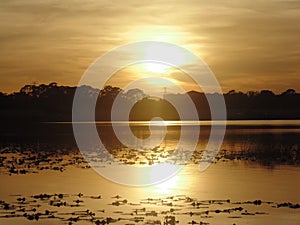 Lago en el otono photo