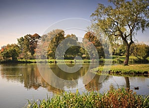 Lake in the autumnal park