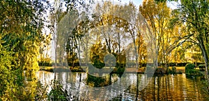Lake in autumnal park