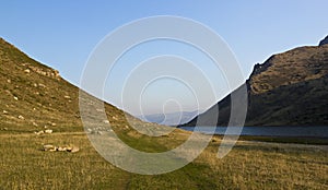 Lake of Babia photo