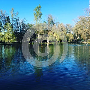 Lake and background reflection