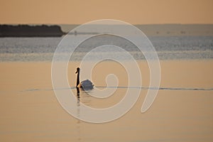 Lake Balaton