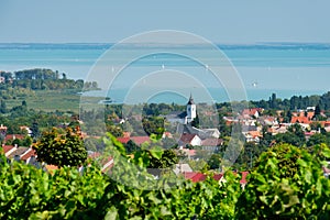 Lake Balaton - Csopak