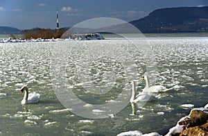 Lake Balaton at witer time photo