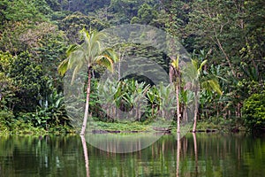 Lake Balinsasayao in Dumaguete on Negros Island, Philippines