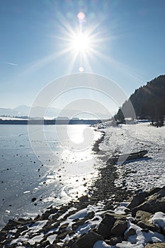 Lake bank in winter