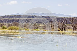 Lake Baringo, Kenya