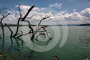 Lake Baringo, Rift Valley, Kenya
