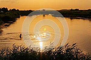 Lake bath during hot summer day