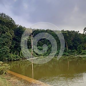 Lake with beautiful trees and cloudy sky