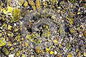 Lake bed of rocks or pebbles under water.