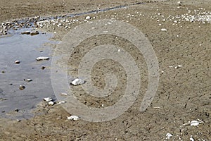 A lake begins to dry up and leaves behind a huge underground