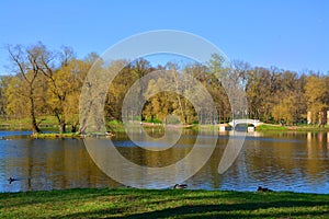 Lake Beloe in Palace Garden. Gatchina. St. Petersburg, Russia