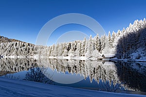 Lake BelopeÅ¡ko in a winter morning