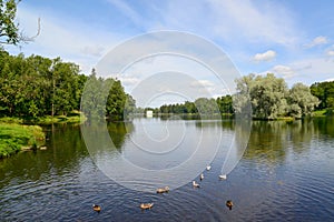 Lake Beloye in Gatchina park, Russia