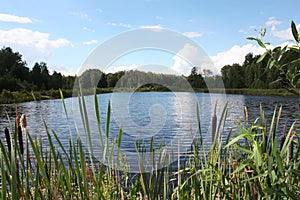 Lake in Bialowieza National Park