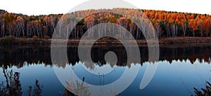 Lake and birch forest in the morning light