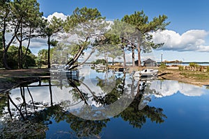 The lake of Biscarrosse in France photo