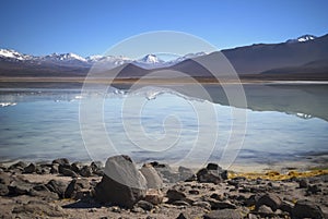 Lake Blanca during salar de uyuni tour, altiplano with snowy mountains background