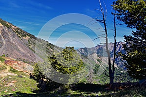 Lake Blanche forest and mountain landscape views from trail. Wasatch Front Rocky Mountains, Twin Peaks Wilderness,  Wasatch Nation