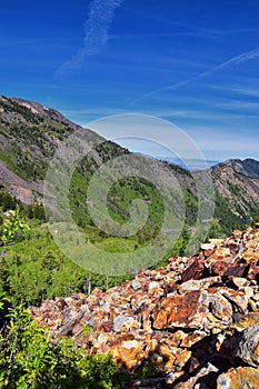 Lake Blanche forest and mountain landscape views from trail. Wasatch Front Rocky Mountains, Twin Peaks Wilderness,  Wasatch Nation