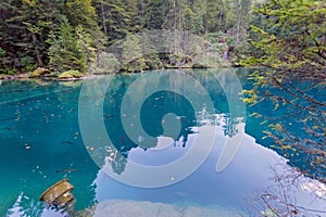 Lake Blausee in Bernese Highlands, Swiss Alps, Switzerland