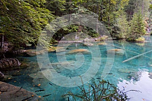 Lake Blausee in Bernese Highlands, Swiss Alps, Switzerland