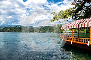 Lake Bled, Slovenia, Europe.