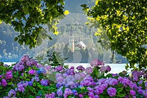 Lake Bled with St. Marys Church of the Assumption on a small island, Bled, Slovenia, Europe.