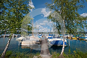 Lake with boats and birches