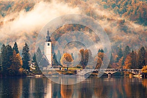 Lake Bohinj In National Park Triglav, Slovenia