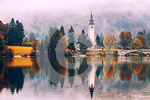 Lake Bohinj In National Park Triglav, Slovenia