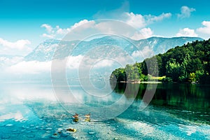 Lake Bohinj in Slovenia, beautiful scenic summer landscape