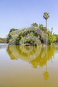 Lake in Bosques de Palermo park