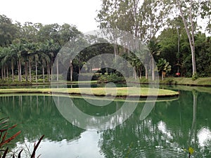 Lake and Botanical Garden at Inhotim Institute, in Brumadinho, MG - Brazil photo