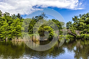 Lake and bridge in Central Park during Summertime, Manhattan, New York City