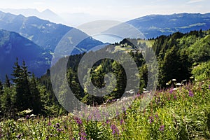 Lake Brienz from Schynige Platte, Switzerland