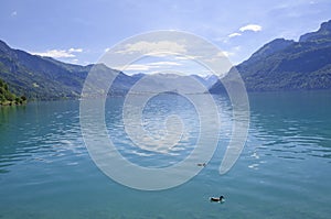 Lake Brienz in Swizerland