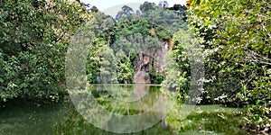 Lake at Bukit Batok nature park