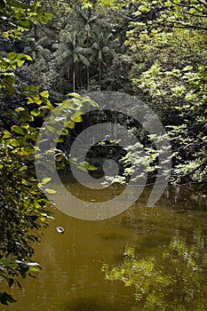 Lake in Burle Marx Park photo