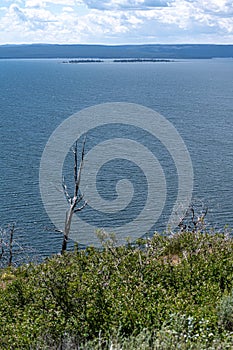 Lake Butte Overview with view on Stevenson Island, Yellowstone National Par