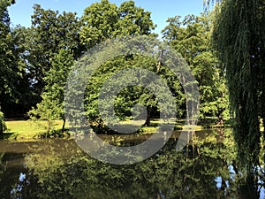 Lake at the BÃÂ¼rger Park