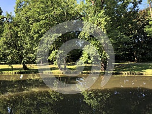 Lake at the BÃÂ¼rger Park in Braunschweig