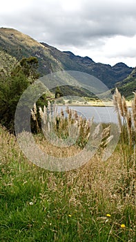 Lake in Cajas National Park