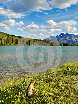 Lake Canadian Rockies Landscape
