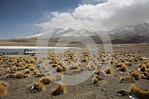 Lake Canapa, Atacama Desert, Bolivia