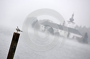 Lake castle Ort in Gmunden in the autumn fog with a seagull in the foreground, Austria, Europe